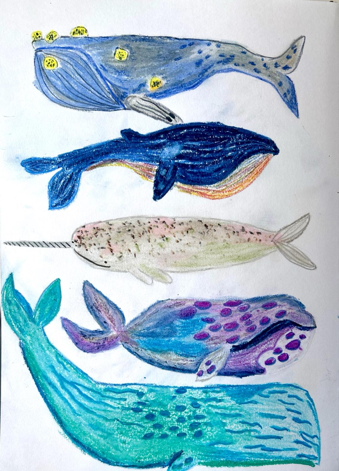 ballenas