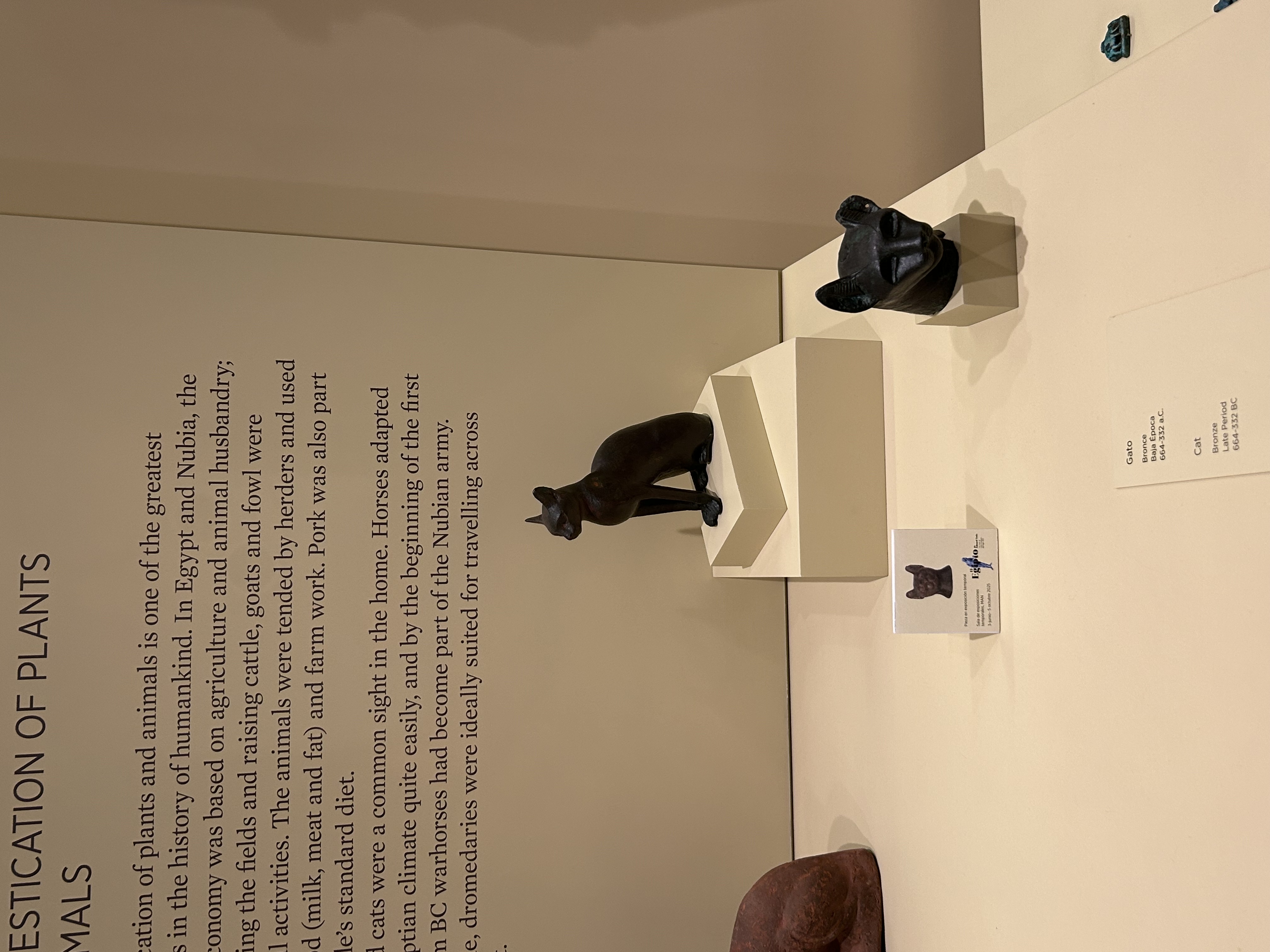 museo