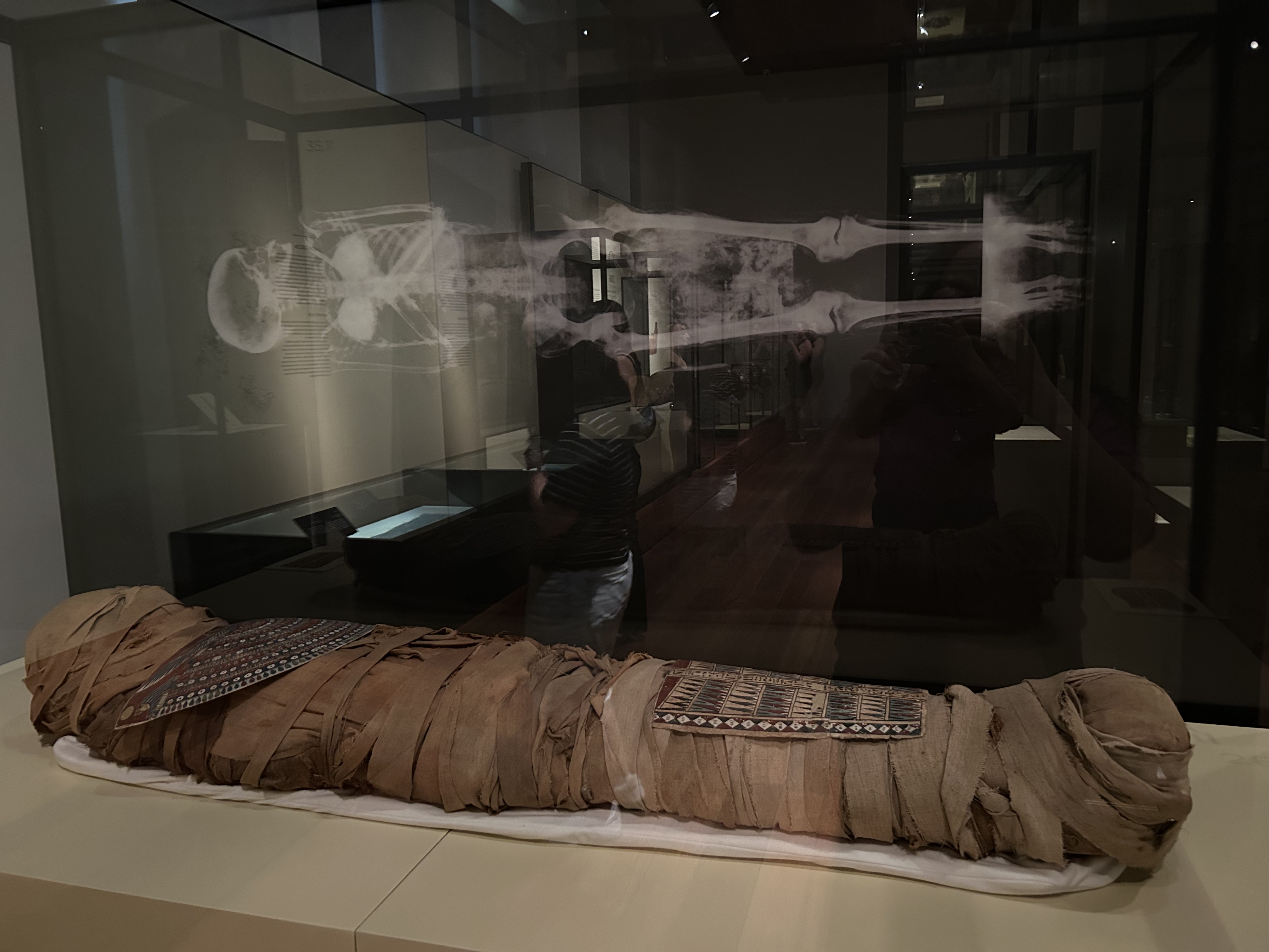 museo